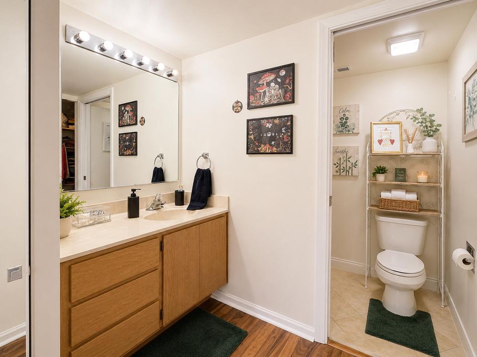 Primary Sink:Bath