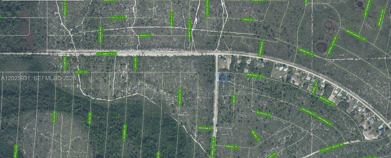 For Sale: $22,900 (0.35 acres)