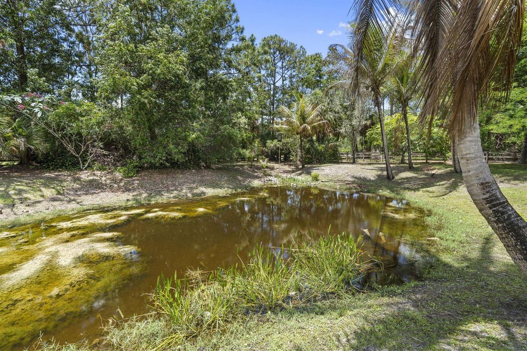 40-web-or-mls-DSC05290