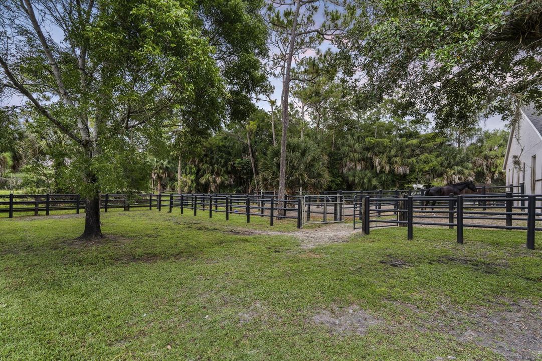 9-web-or-mls-DSC05569