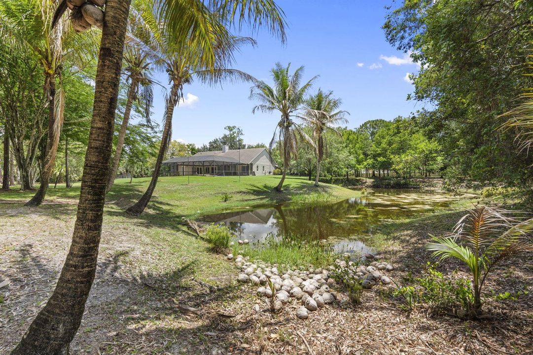 39-web-or-mls-DSC05299