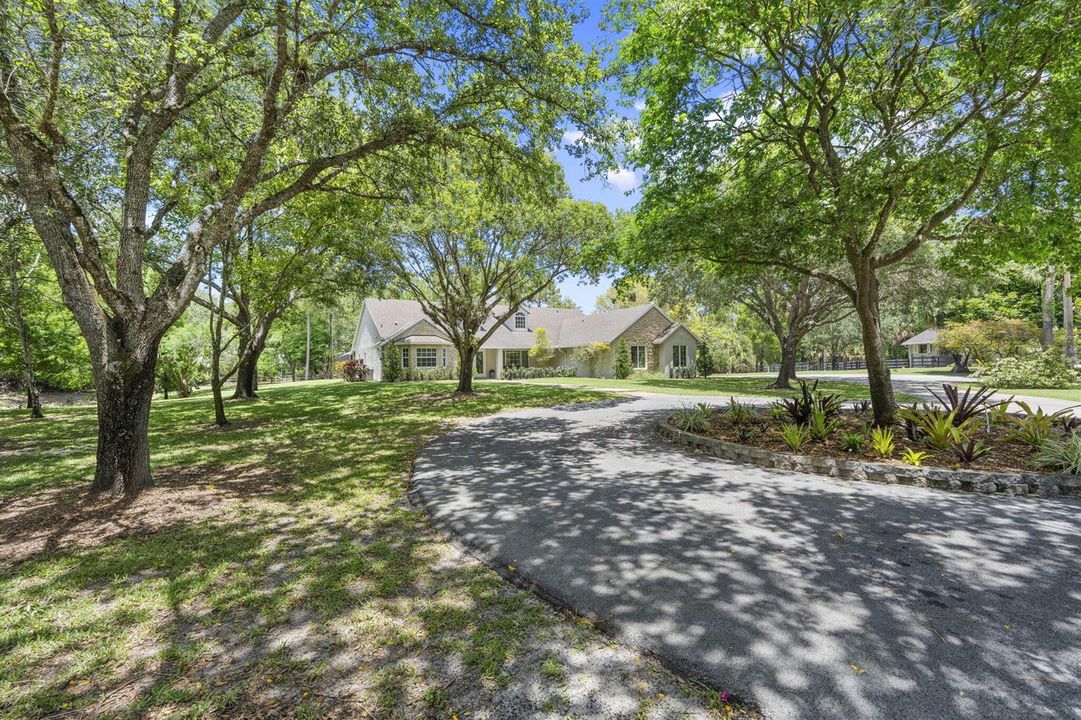 43-web-or-mls-DSC05263