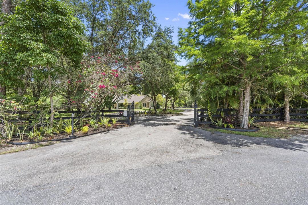 46-web-or-mls-DSC05236