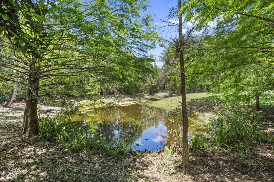 42-web-or-mls-DSC05272