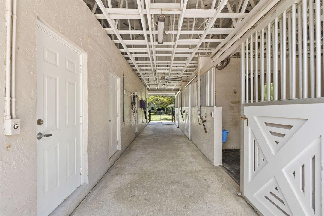 29-web-or-mls-DSC05391
