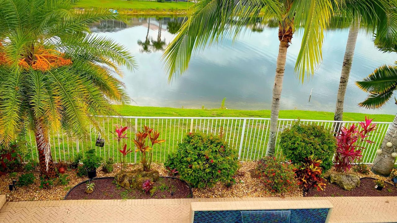 Pool/Lake