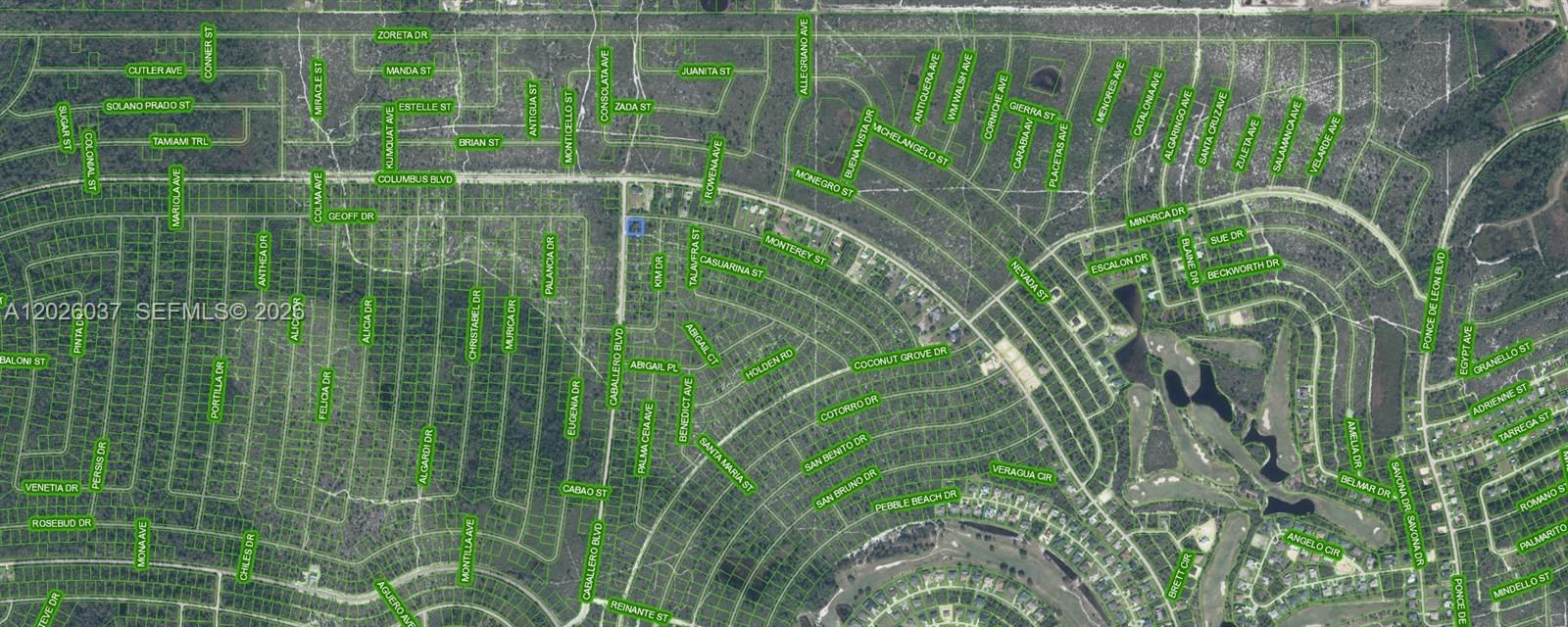 For Sale: $19,900 (0.23 acres)