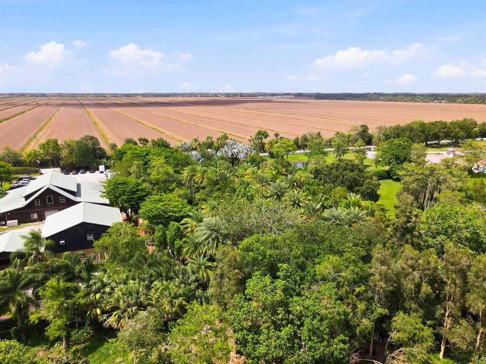 10_dji_fly_20260526_152108_367_177982333