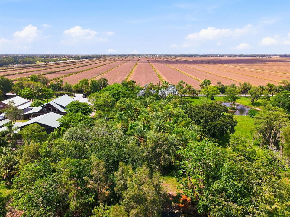 09_dji_fly_20260526_152054_366_177982331
