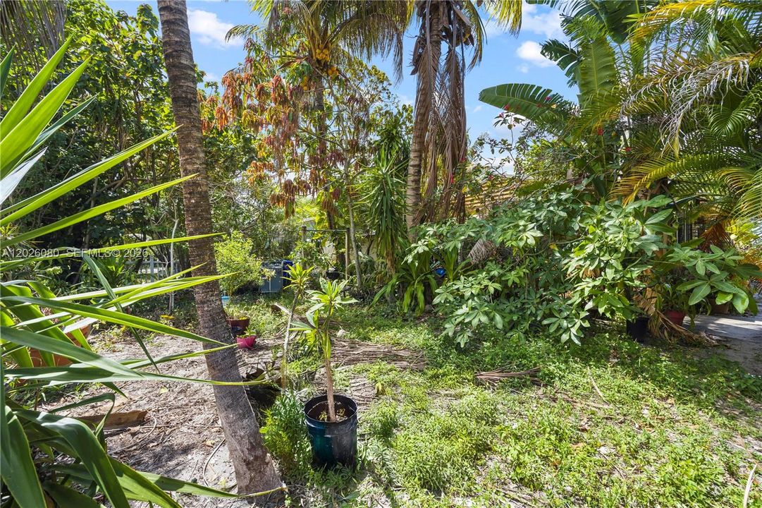 Activo con contrato: $399,999 (4 camas, 3 baños, 1000 Pies cuadrados)