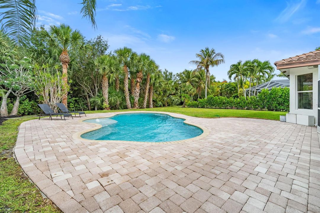 Saltwater Pool and Patio