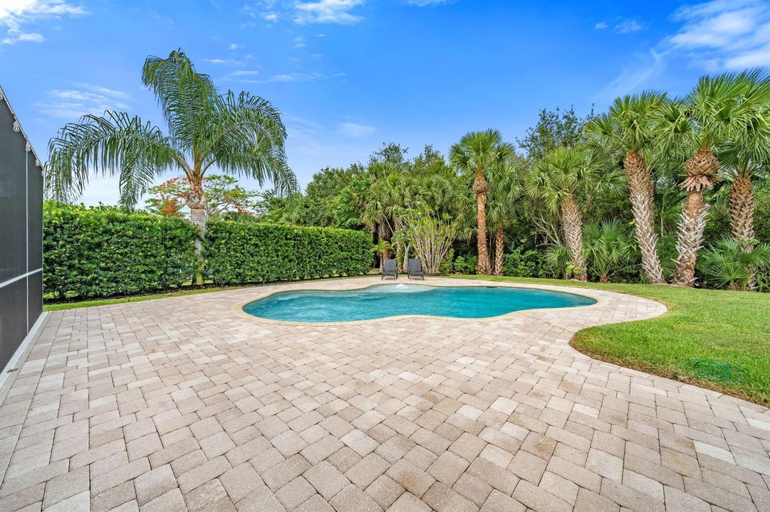Saltwater Pool and Patio
