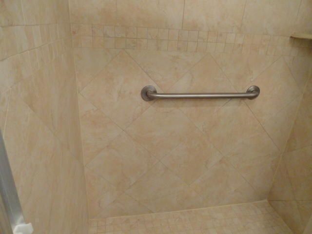 Shower grab bar
