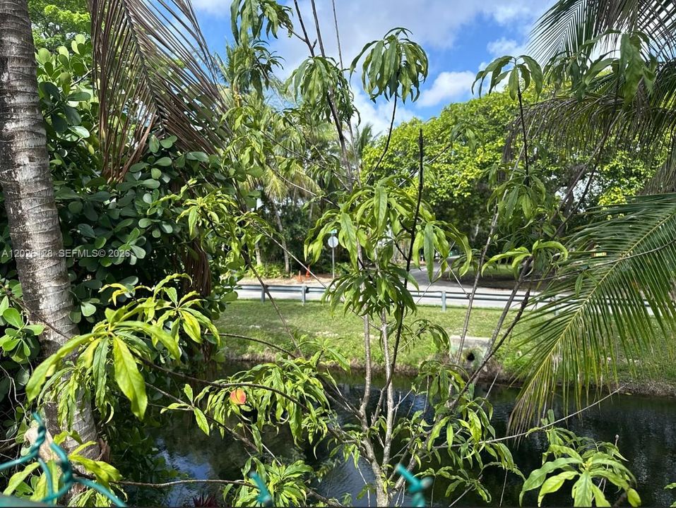 For Sale: $1,575,000 (4 beds, 2 baths, 1657 Square Feet)