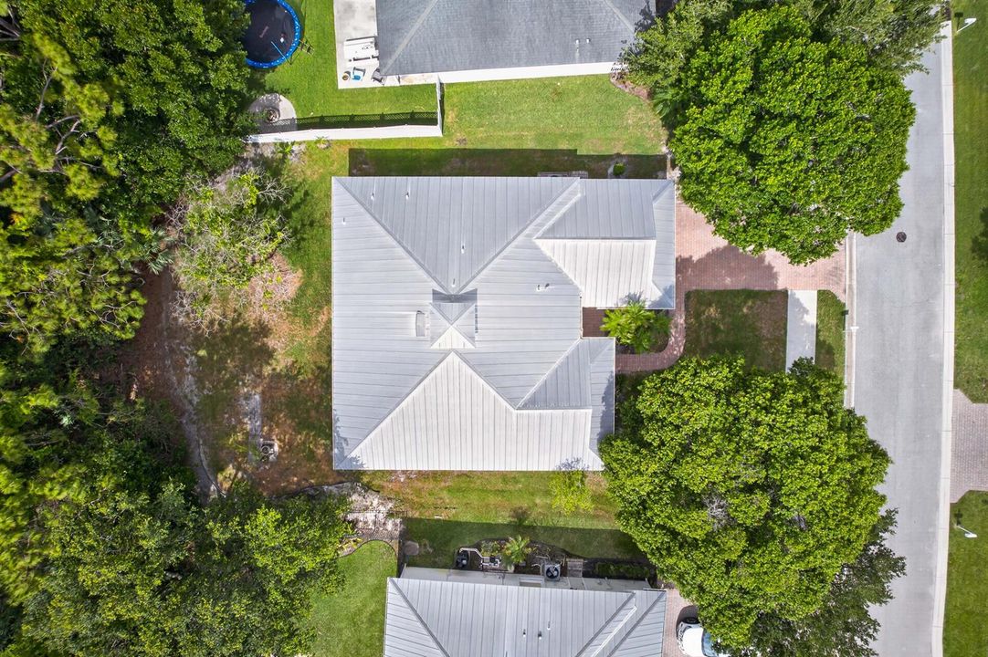 Drone view