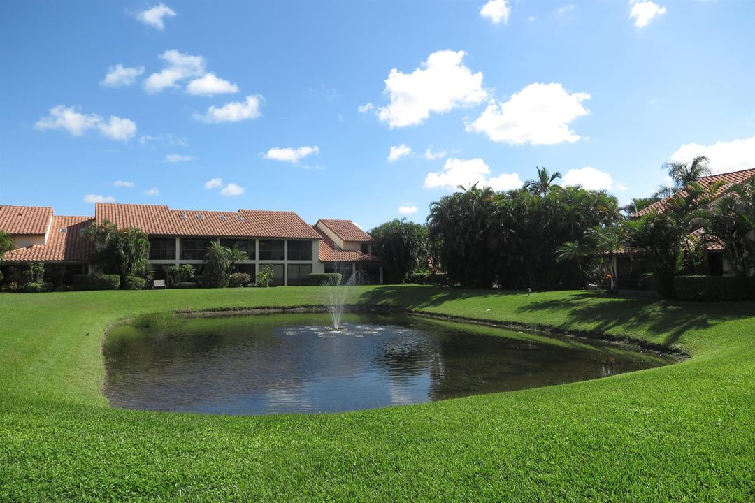View from patio
