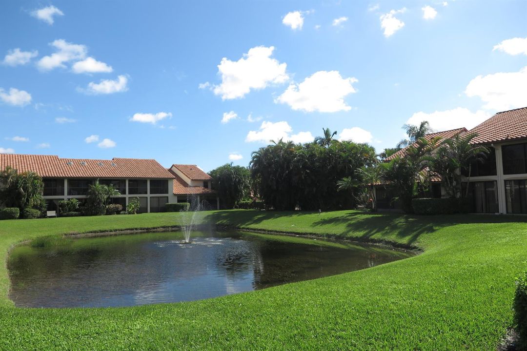 View from patio
