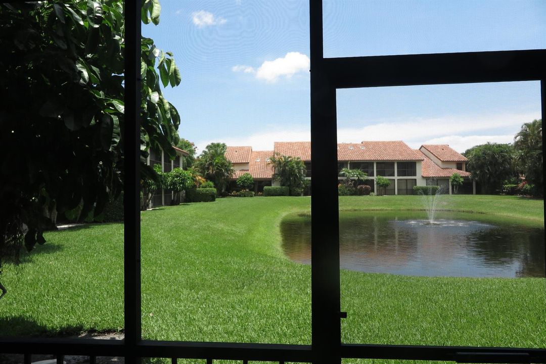 View from patio