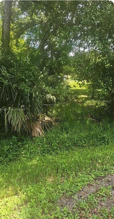 For Sale: $45,000 (1.50 acres)