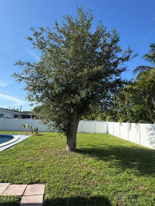 28-sw-9th-ave-boca-pool-addison-mizner
