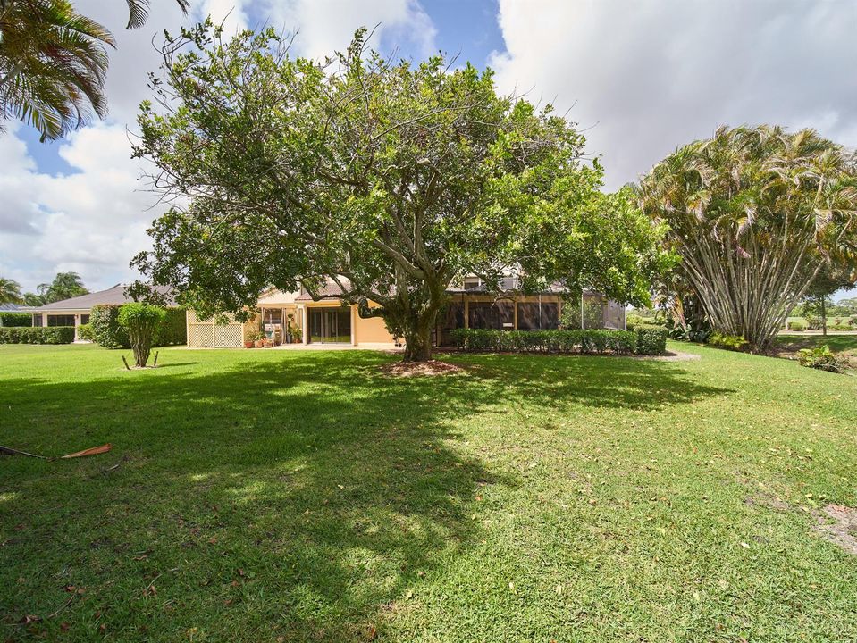 P1171944