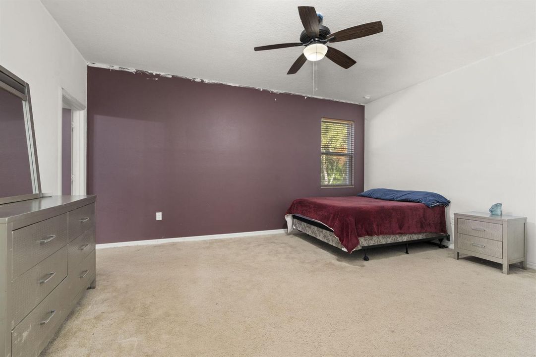 29-web-or-mls-DSC08800