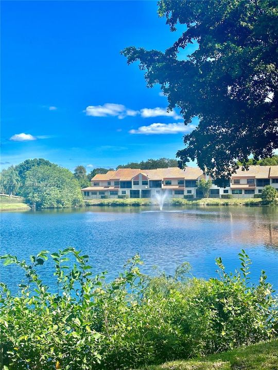 For Rent: $3,350 (3 beds, 2 baths, 1438 Square Feet)