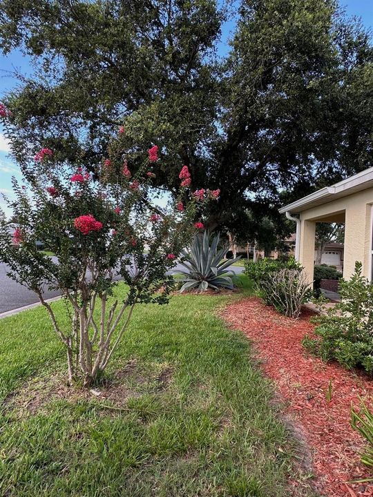 SIDE OF THE HOUSE / CORNER LOT