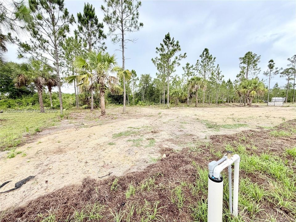 For Sale: $349,990 (4 beds, 2 baths, 1650 Square Feet)