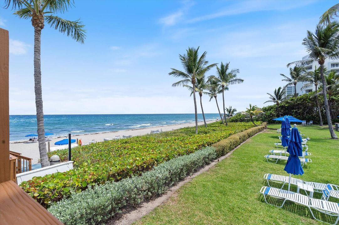 Lounge on the lawn or beach