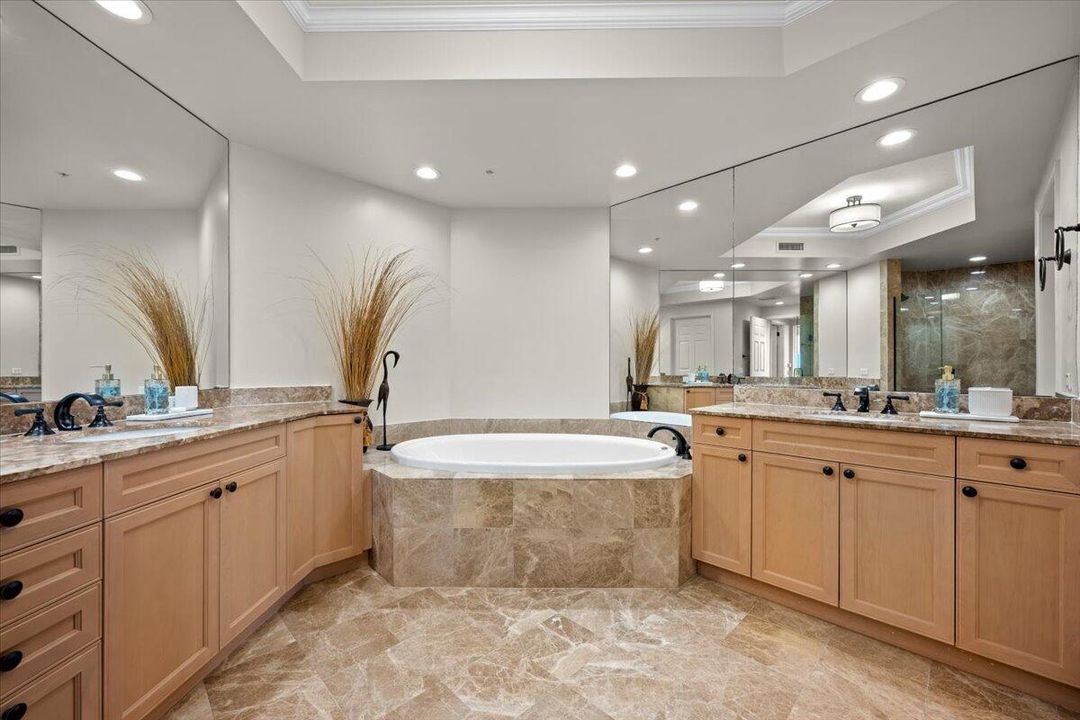 Primary Bathroom with spa-like tub