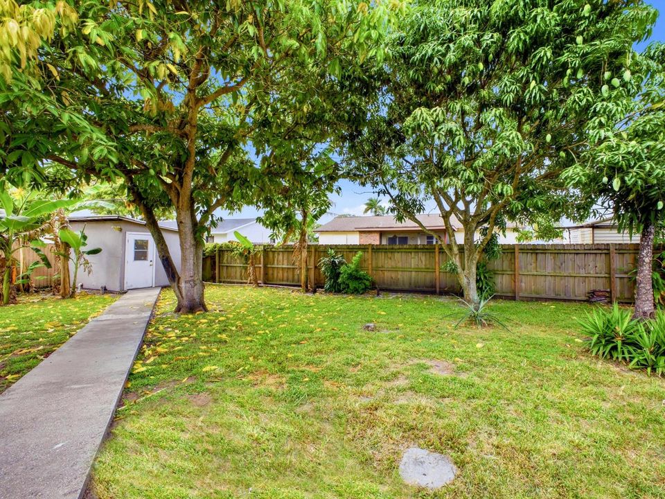 Backyard