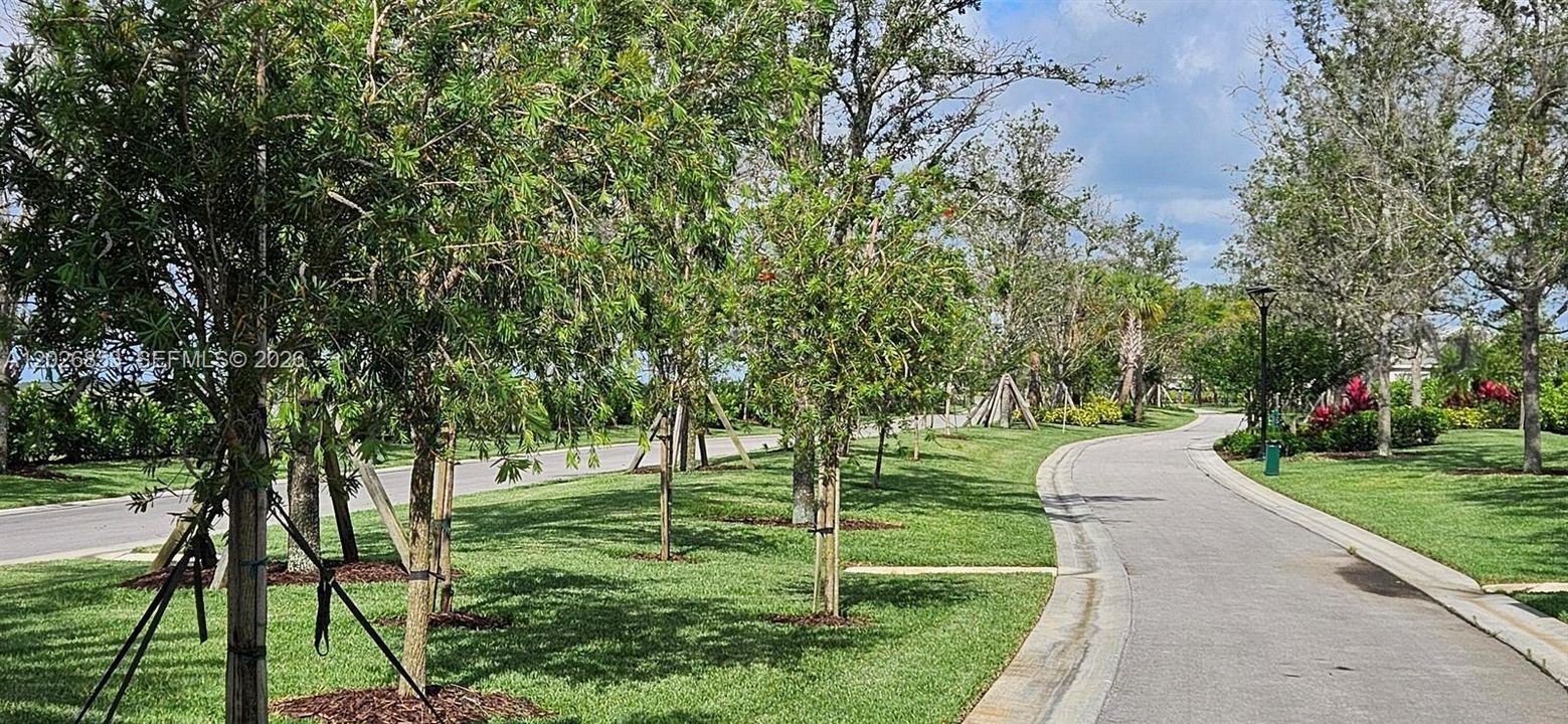 Paseo