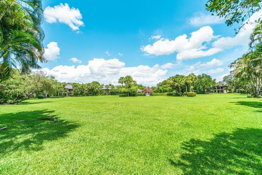 garden view