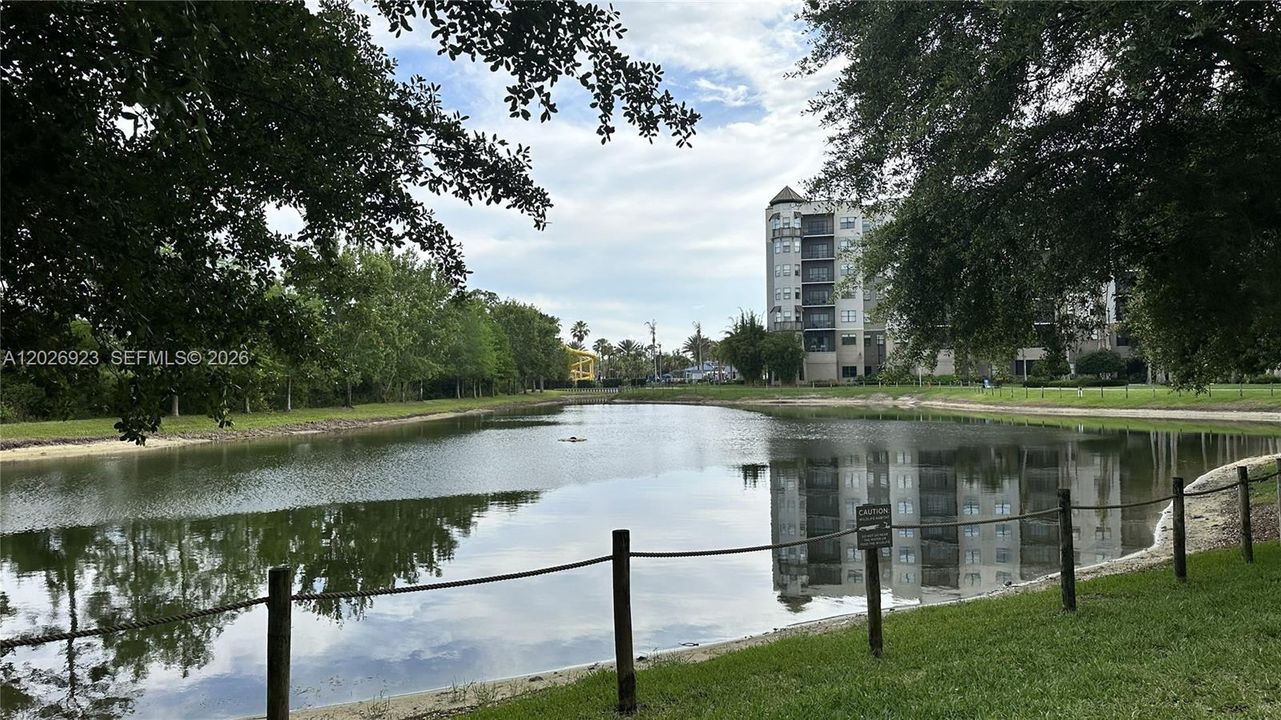 Lagoon