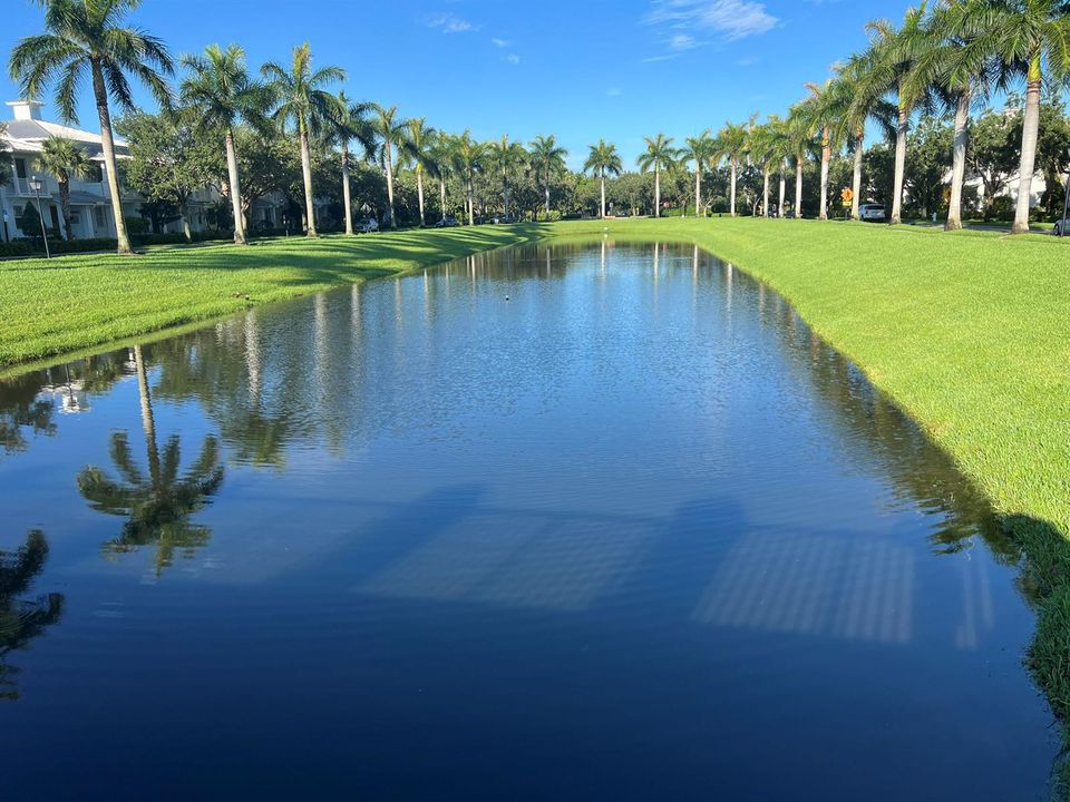 Mallory Creek 1