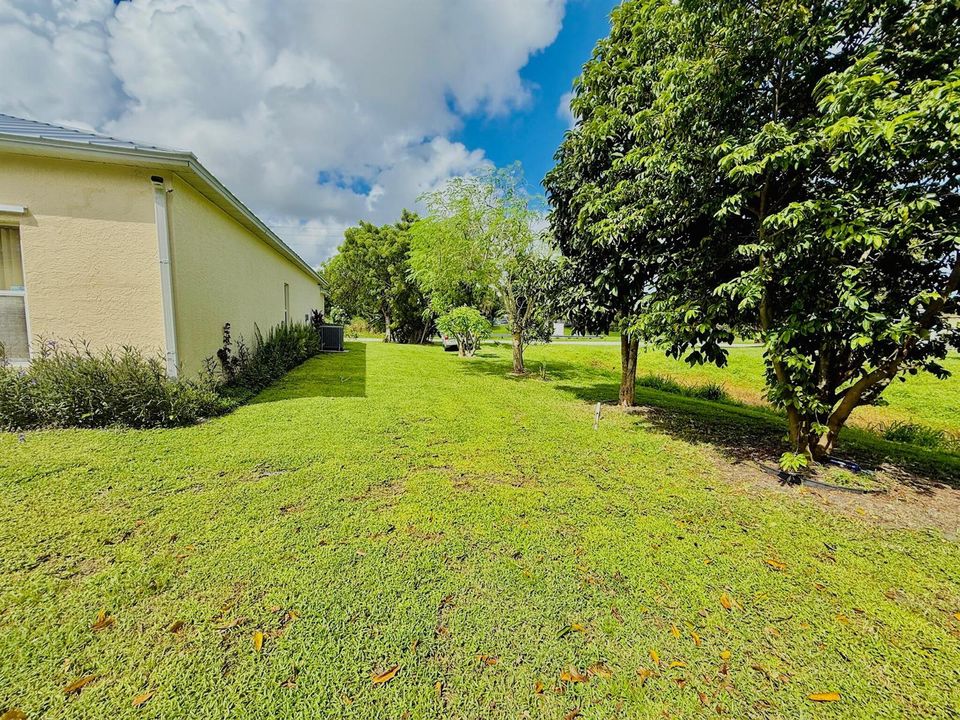 Side Yard