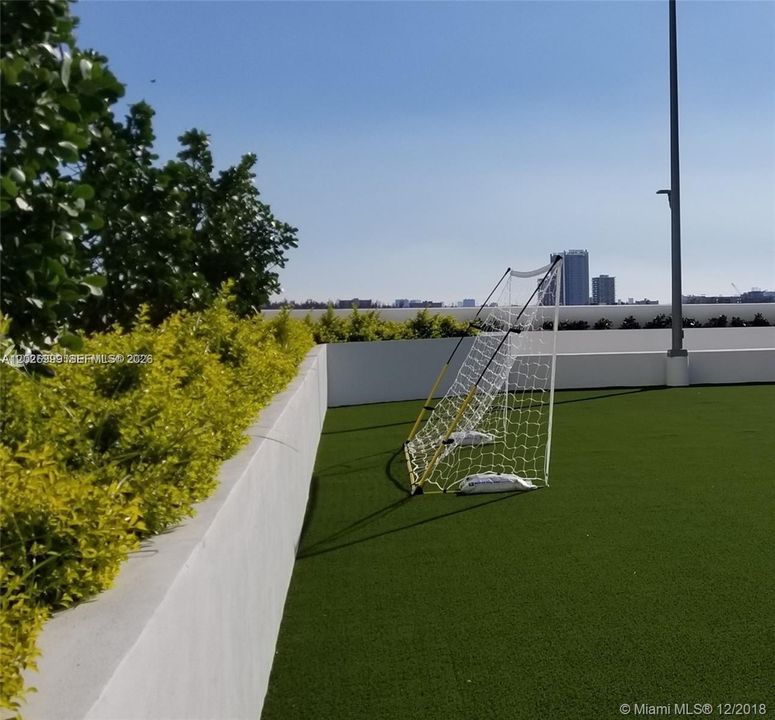 Soccer mini field