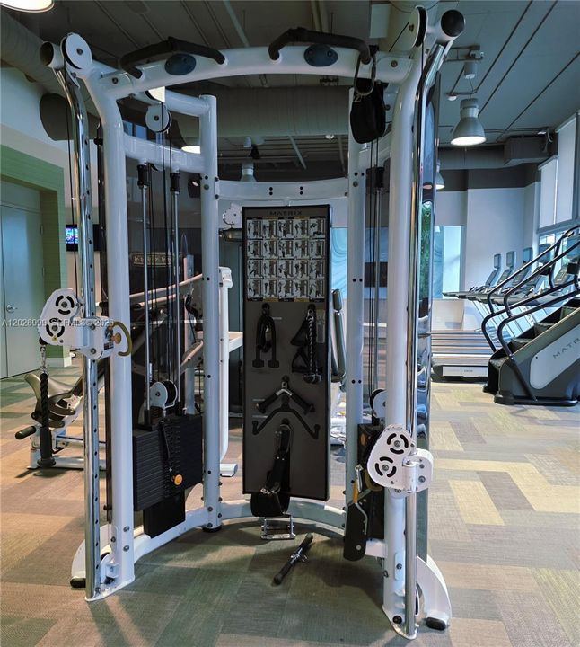 The spacious weight area includes an extensive free-weight collection, benches, and specialized machines, all set against a clean, contemporary backdrop.