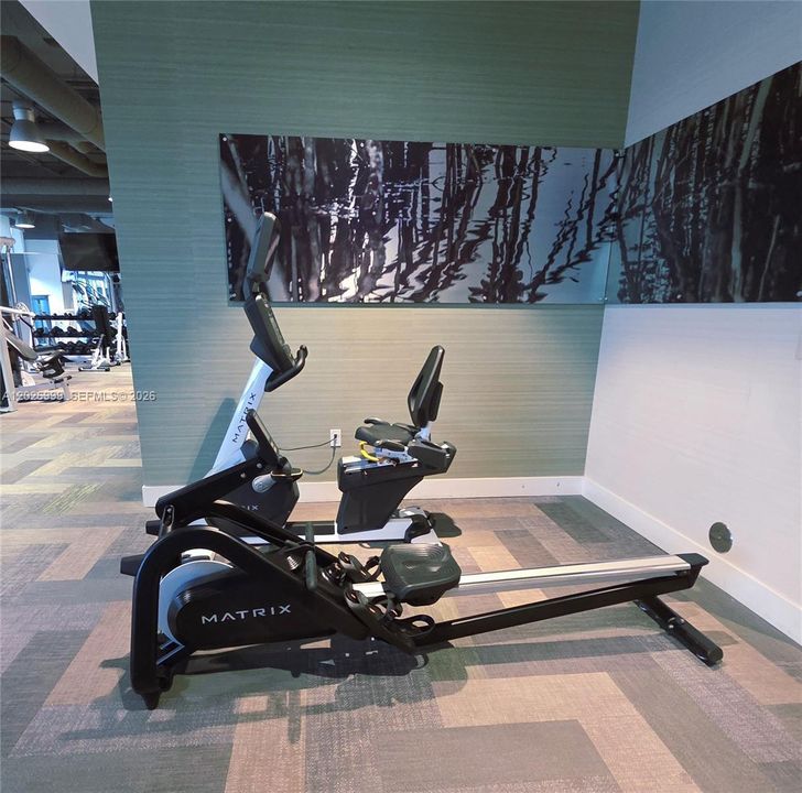 The well-equipped gym includes premium Matrix rowing and stationary cycling machines set against contemporary design accents.