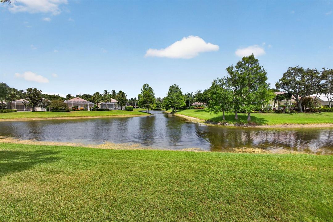 56-web-or-mls-5D1A2619
