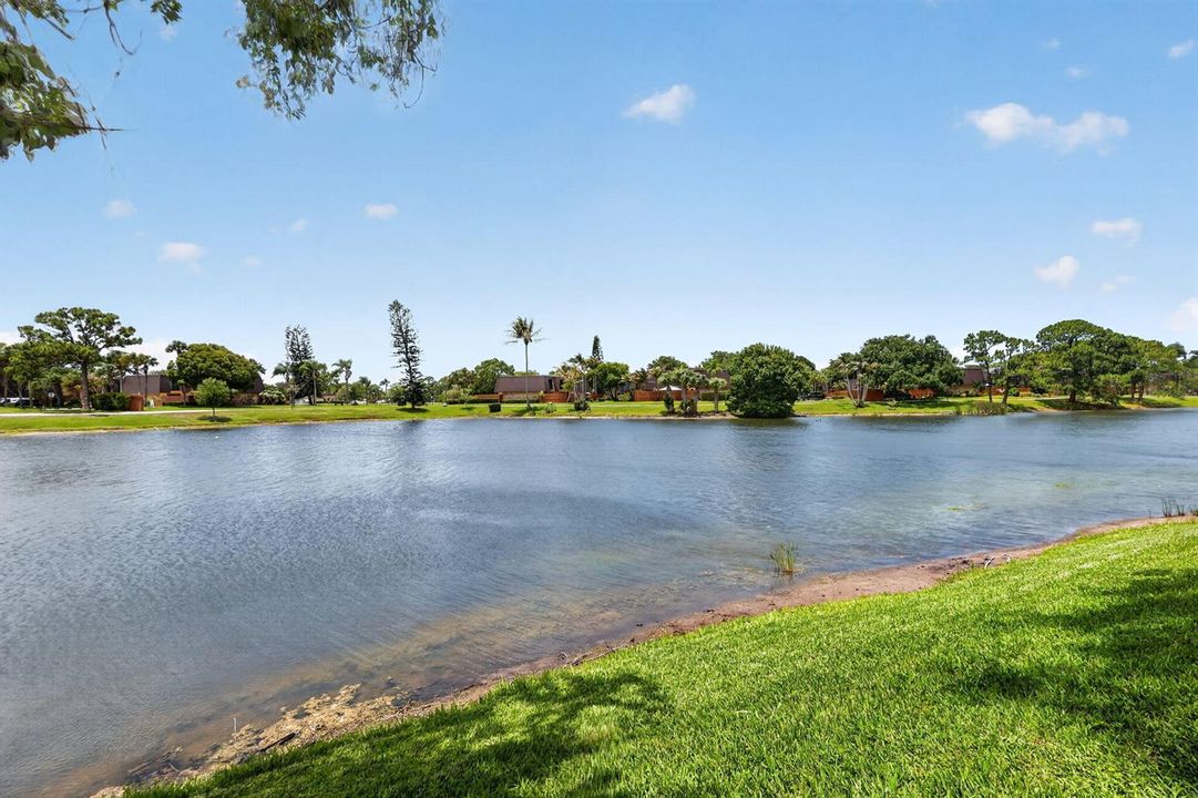 6066 Backyard Lakeviews