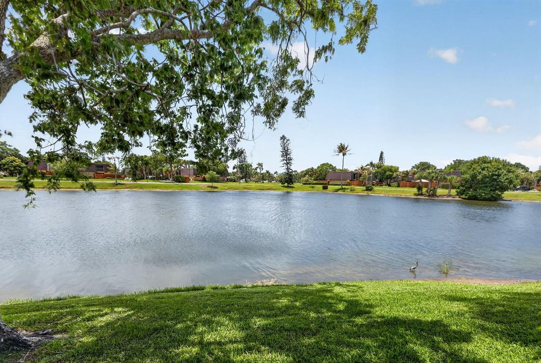 Enjoy the Views from Your Yard
