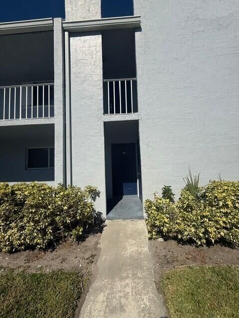 sabal pine6