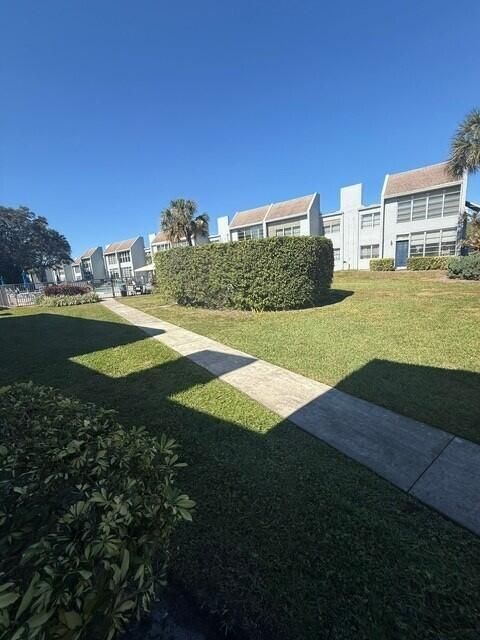 sabal pine12