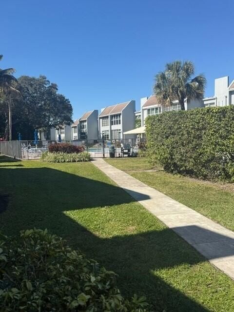 sabal pine11
