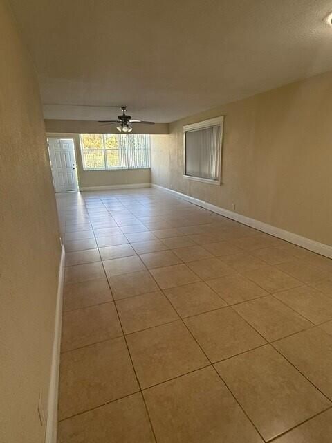 sabal pine26