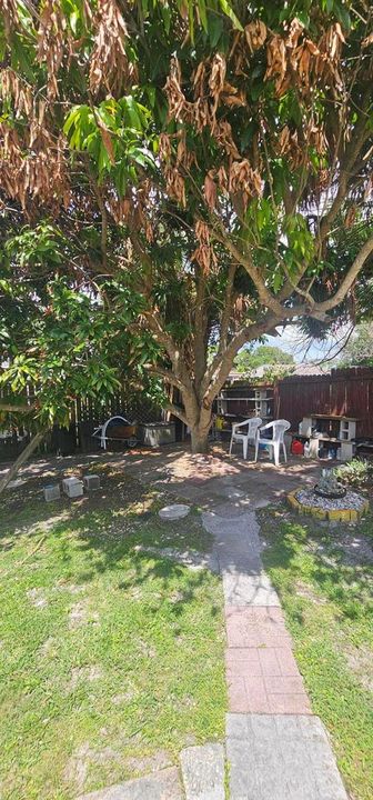 BACK YARD