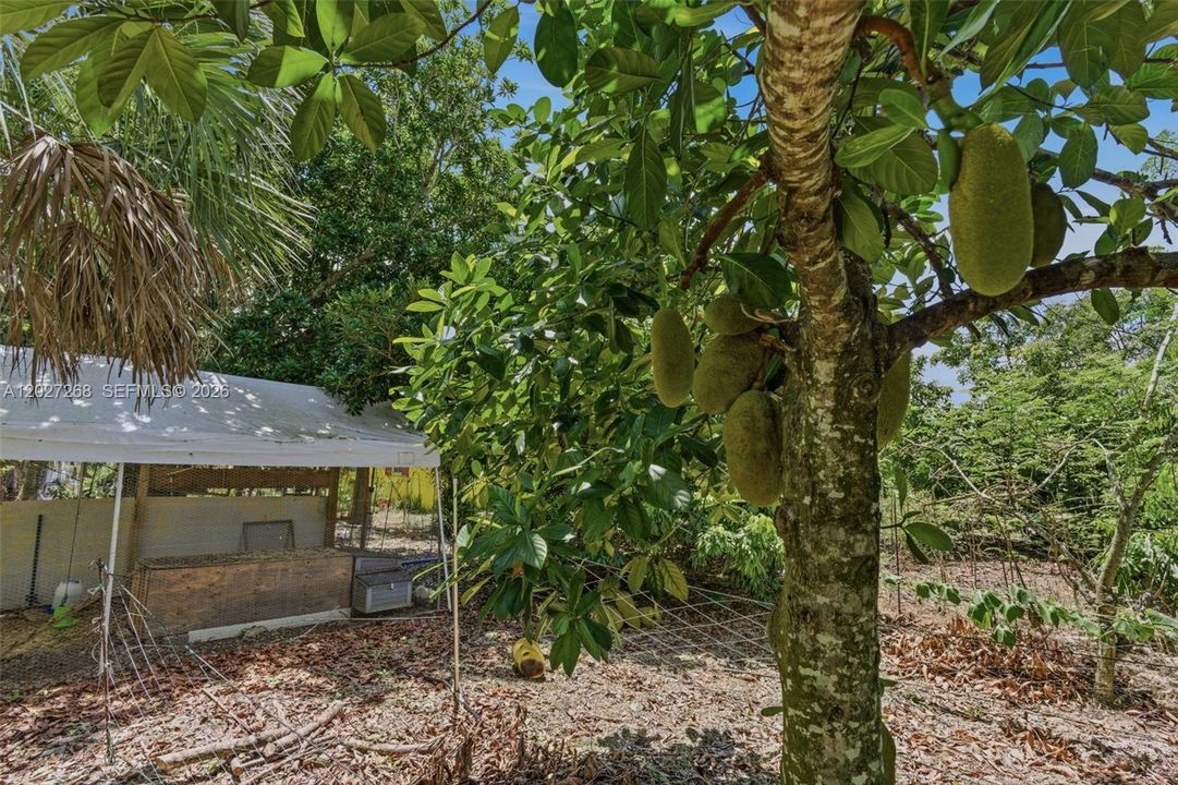 En Venta: $1,150,000 (3 camas, 2 baños, 1032 Pies cuadrados)