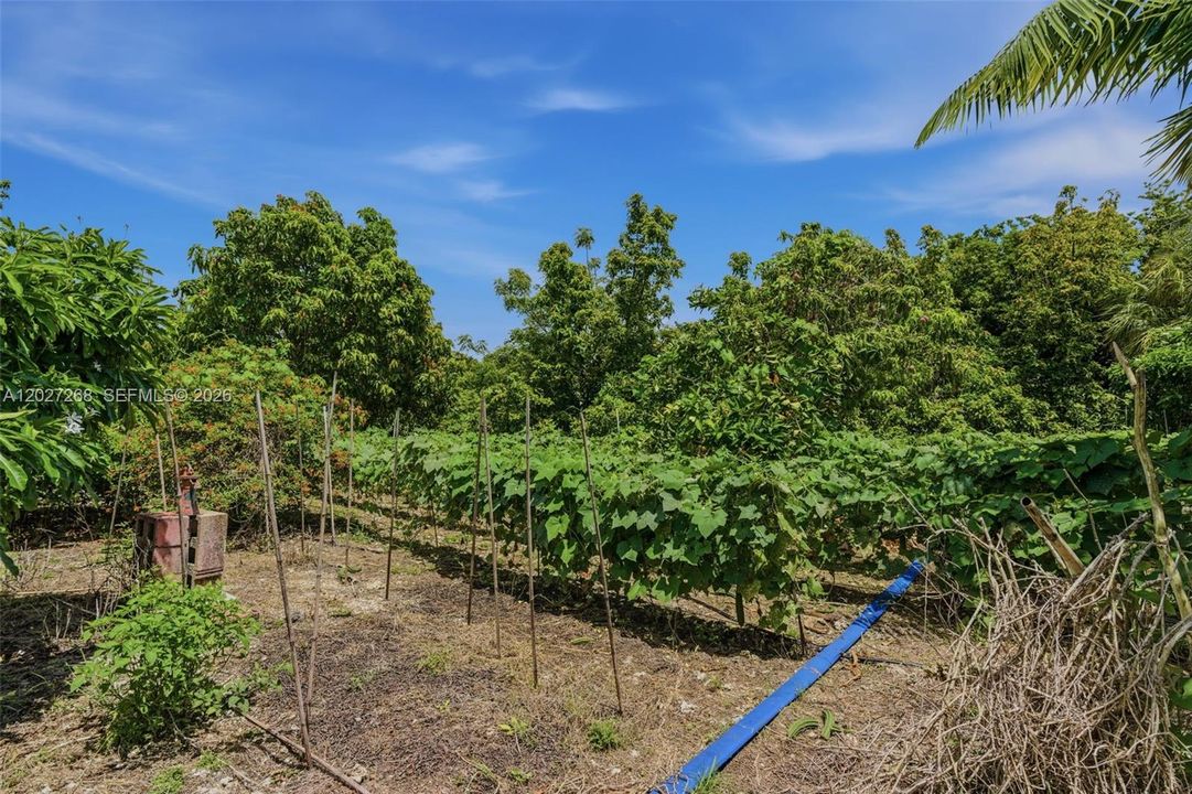 En Venta: $1,150,000 (3 camas, 2 baños, 1032 Pies cuadrados)